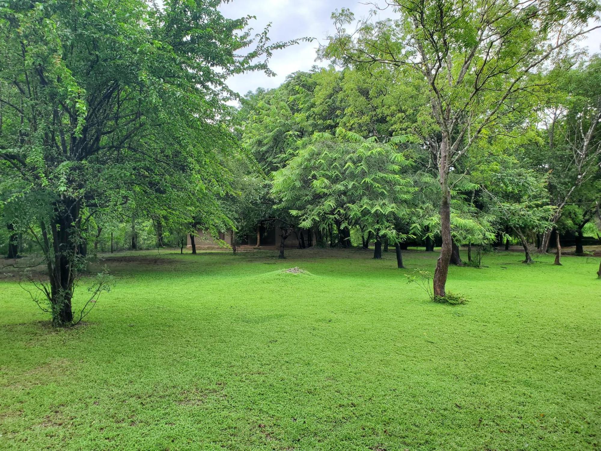 Clay Hut Village Polonnaruwa Exterior foto