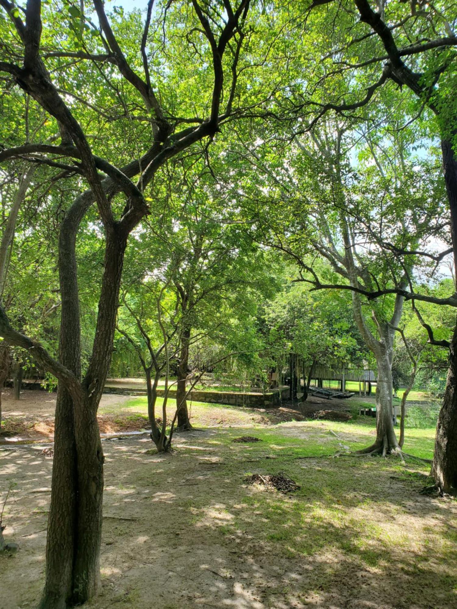 Clay Hut Village Polonnaruwa Exterior foto